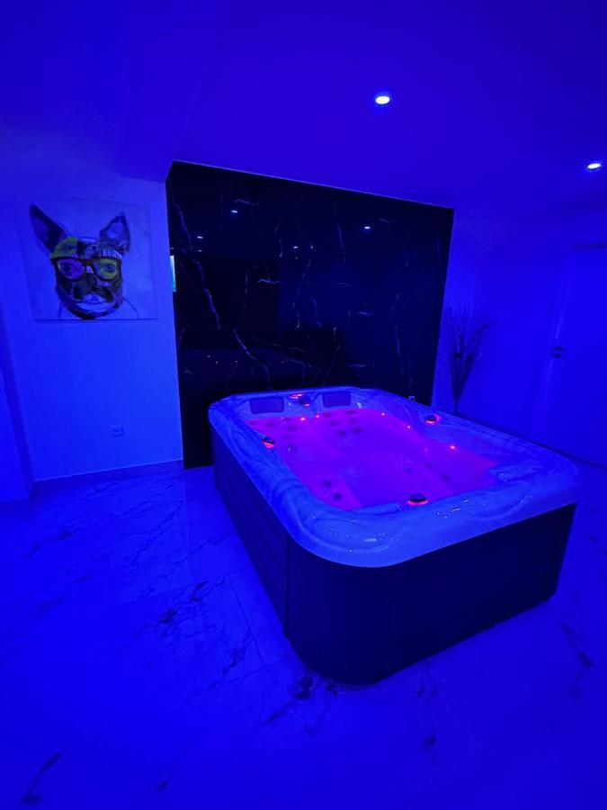 Appartement Cosy Jacuzzi Spa 70M2 Châtenois Eksteriør bilde